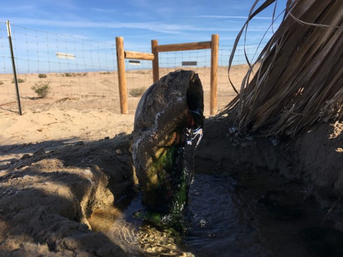 Artesian well flowing